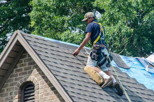 Best Roof Gutter Cleaning  in Woodside, CA